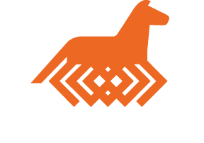 Viking Horses