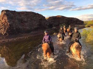 Sleipnir Evening Horse Riding Tour