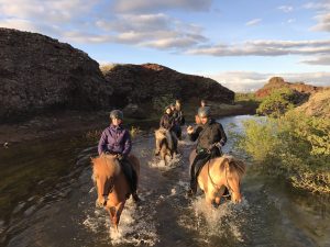 Sleipnir Evening Horse Riding Tour