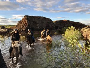 Sleipnir Evening Horse Riding Tour