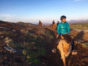 Sleipnir Evening Horse Riding Tour