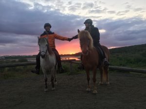 Sleipnir Evening Horse Riding Tour