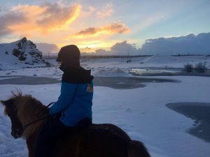 Sleipnir Evening Horse Riding Tour