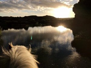 Sleipnir Evening Horse Riding Tour