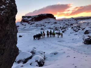 Sleipnir Evening Horse Riding Tour