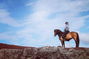 Private Horse Riding Tours Reykjavik