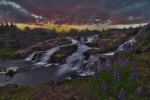 Iceland horse riding club